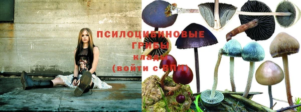 соль ск Михайловка