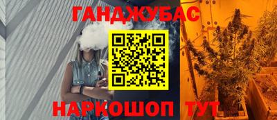 индика Бийск