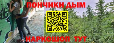 индика Бийск