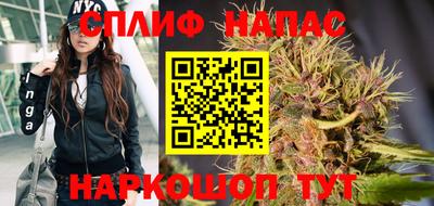 индика Бийск