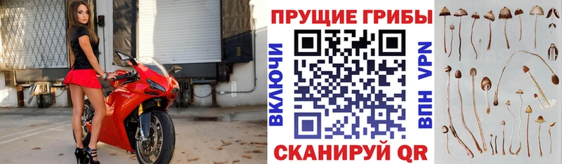 Галлюциногенные грибы GOLDEN TEACHER Бирск