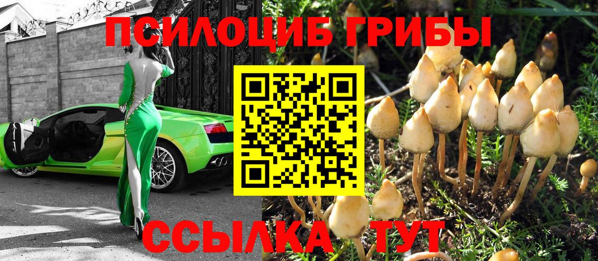 Псилоцибиновые грибы Magic Shrooms  Бирск 