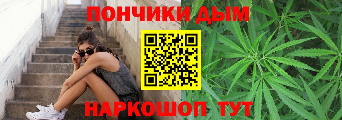 Бошки Шишки AK-47  Марихуана марихуана  Шишки марихуана THC 21%  Бирск  МАРИХУАНА SATIVA & INDICA 